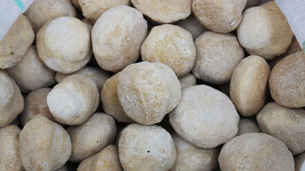 Korona döneminde peynir ekmek gibi yediler! 'Doğal antibiyotik' ama kimse bilmiyor - saglik