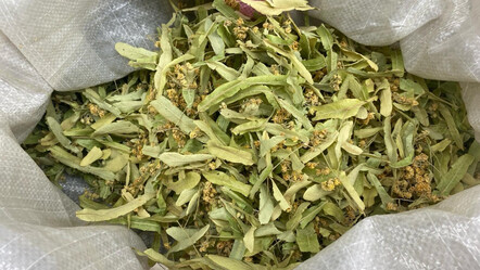 Ihlamurun fiyatını gören hasta oluyor - yasam