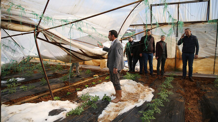 Antalya'da dolu çiftçileri vurdu! Yüzlerce ürün çöp oldu - guncel