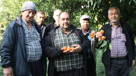 Marketten tarlaya uçurum! Çiftçiler 'artık toplamıyoruz' diye isyan etti - ekonomi