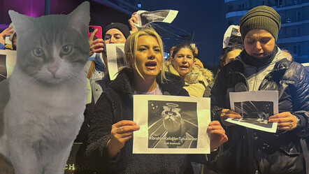 İbrahim Keloğlan'ın işkence ederek katlettiği Eros için adalet eylemi - gundem