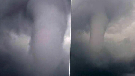 Hatay'da film sahnelerini aratmayacak görüntüler! Hortum ağaçları kökünden söktü - guncel