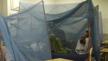 Salgında vaka sayısı iki kat arttı, Peru'da 'acil durum' ilan edildi - saglik