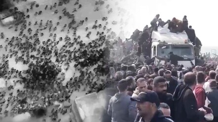 İsrail, Gazze'de gıda yardımı bekleyen sivilleri vurdu: 112 ölü, 700'den fazla yaralı var - dunya