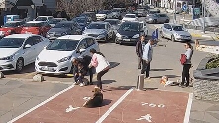 Hayat kurtaran anlar saniye saniye kamerada! Zabıtadan boğazına şeker kaçan çocuğa 'heimlich manevrası' - gundem