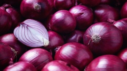 Kokusundan dolayı yemiyoruz... Faydalarını duyunca çiğ çiğ yutacaksınız - haberler