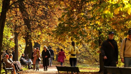 Araştırma: Günde 2 bin 200 adım, erken ölüm riskini azaltıyor - yasam