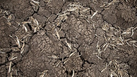 64 yıl sonra acı manzara: Konya'daki May Barajı'nda bir damla su kalmadı - gundem