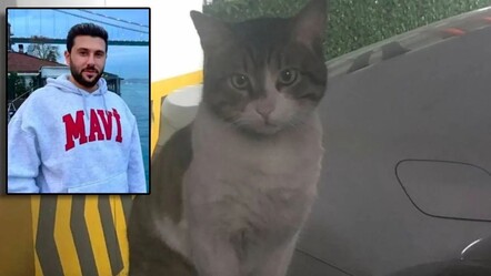 Eros adlı kediyi vahşice öldürmüştü... İbrahim Keloğlan'ın cezası belli oldu - haberler