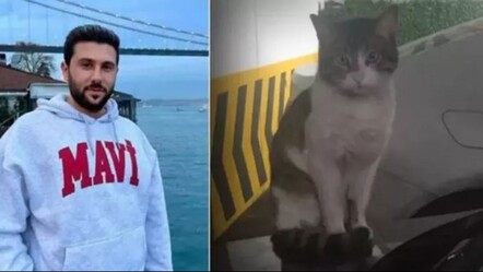 Kedi Eros davası bugün 10.30'da Küçükçekmece Adalet Sarayı'nda görülecek - haberler