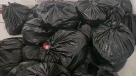 Adana'da kestikleri at etini İstanbul'a götürürken yakalandılar! Sucuk yapıp millete yedireceklerdi... - gundem