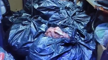 İstanbul yolunda 700 kilo at ve eşek eti yakalanmıştı! Mide bulandıran itiraf geldi - gundem
