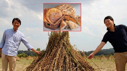 Japonlar ramazan pidesinin vazgeçilmezi Gökova sarı susamına hayran - yasam