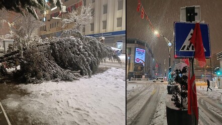 Van'da lapa lapa kar yağdı! Her yer beyaza büründü - gundem