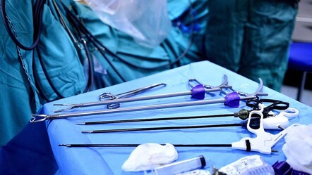 Tıp dünyasında bir ilk! ABD’de canlı bir hastaya başarılı şekilde domuz böbreği nakledildi - gundem