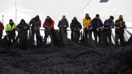 Balıkçılar sezon sonunu beklemedi, erken paydos etti - yasam