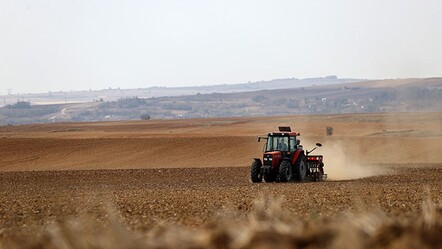 Edirne'de sıcaklık tarımı vurdu: Buğday tarlaları hastalandı - ekonomi