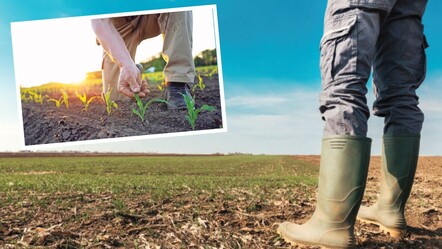 Mart ayı bereketi ile geldi! Barajlar doldu, çiftçi nefes aldı - gundem