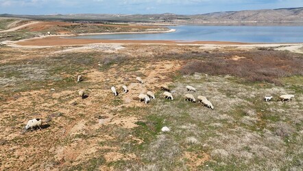 Kızılırmak'ta korkutan manzara! Sular onlarca metre çekildi - yasam