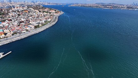 Marmara Denizi'nde ürküten görüntü! Kilometrelerce uzunlukta, lağım çukuruna dönüşebilir - haberler