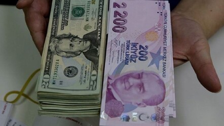 Dolara koşanlara uyarı! TL ihmale gelmez... - dunya