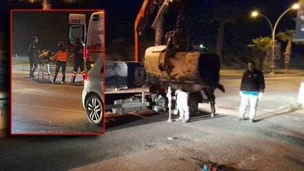 Bodrum'da yaban domuzu ortalığı birbirine kattı: 3 araç kaza yaptı, 2 kişi yaralandı - gundem