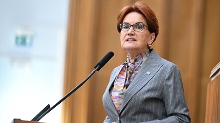 İyi Parti'den istifa eden Özkan paylaştı: Meral Akşener genel başkanlığı bırakıyor - haberler