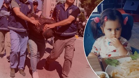 Türkiye cansız bedeni derin dondurucuda bulunan Lina'ya ağlamıştı: Korkunç cinayette canilerin cezası belli oldu - gundem