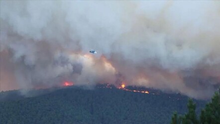 Kütahya Tavşanlı orman yangını son durum: Müdahale devam ediyor - gundem
