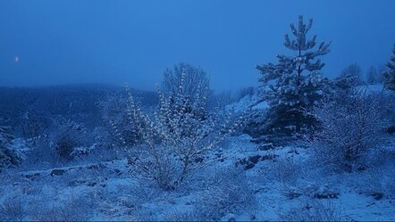 Tokat'ta kar yağdı, her yer beyaza büründü - yasam