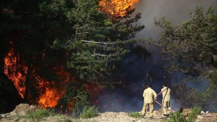 Antalya'da orman yangını! 2.5 saatte kontrol altına alındı - gundem