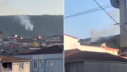 Aydos Ormanı'nda yangın! Ekipler kısa sürede söndürdü - gundem