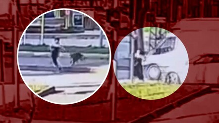 Köpeklerin kovaladığı kıza araba çarptı! - gundem