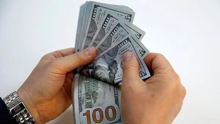 Dolar TL 2029'da 99 TL! IMF'nin hesaplarına göre yıllara göre dolar tahmini - haberler