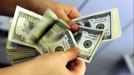 IMF'e göre 2025 yılında Türkiye'de dolar 50 TL olacak - haberler