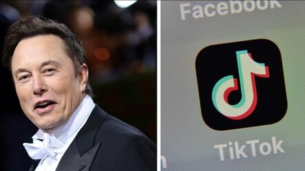 Elon Musk sordu: ‘Vine geri gelsin mi?' Cevap TikTok'u endişelendirdi - teknoloji