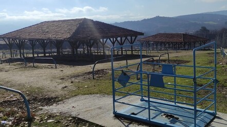 Kastamonu diken üstünde! Bulaşıcı hastalık nedeniyle alarma geçildi - gundem