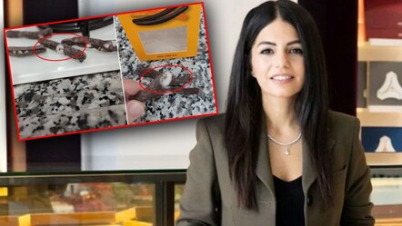 Küflü çikolata skandalında Patiswiss Yönetim Kurulu Başkanı Elif Tunaoğlu görevinden ayrıldı - haberler