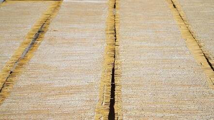 Yavuz Sultan Selim annesinden istemişti: Bugün 14 ülkeye ihraç ediliyor - YEMEK