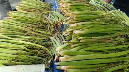Şeker hastalarına 'doğal ilaç': Herkes alıp yesin! Kilosu 100 lira, yan etkisi yok - saglik