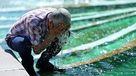 Güneş çarpması sanılıyor ama... Uzmanlar uyardı, kene ısırmalarına dikkat! - saglik