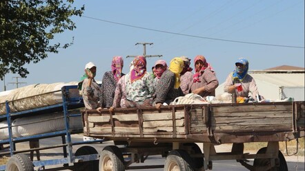 Tarım işçilerine gece seyahat yasak - gundem