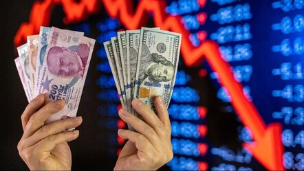 ABD bankası Citi'den dolara karşı TL tavsiyesi - gundem