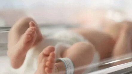 'Yeni doğan' bebekler üzerinden vurgun yapmışlardı! Kamudan devlete geçirmek için yüzde 20 komisyon alıyorlarmış - gundem