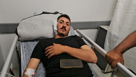 Yer: Erzincan! Mantar toplamaya gitti, dehşeti yaşadı - saglik