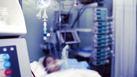 Türkiye'nin kabusu 'kene' geri döndü: Akılalmaz yöntemler ölüme götürüyor! - saglik