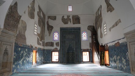 İmam da cemaat de korkuya kapıldı! Camiyi yılan bastı - gundem