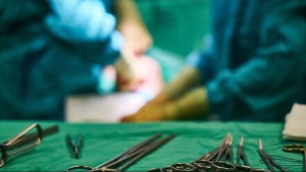 ABD'de, domuz böbreği nakledilen ilk hasta hayatını kaybetti - gundem