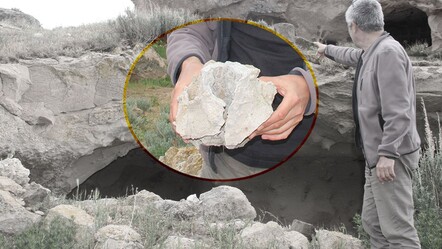 Kayseri'de milyonlarca yıllık orman fosilleri bulundu - kultur-sanat