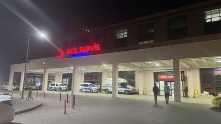 Diyarbakır'da başıboş dehşeti! Köpeklerden kaçarken hastanelik oldu, başında 16 dikiş var - gundem